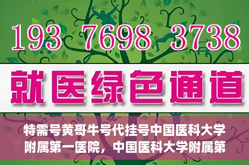 特需号黄哥牛号代挂号中国医科大学附属第一医院，中国医科大学附属第一医院特需号黄哥牛号代挂号服务解析
