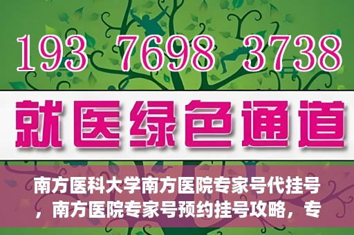 南方医科大学南方医院专家号代挂号，南方医院专家号预约挂号攻略，专业解读与便捷服务体验