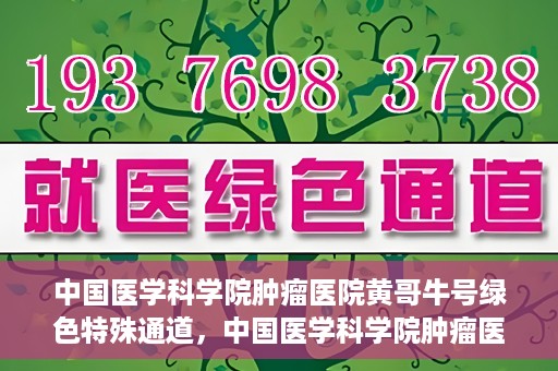 中国医学科学院肿瘤医院黄哥牛号绿色特殊通道，中国医学科学院肿瘤医院黄哥牛号，绿色特殊通道开启健康之门