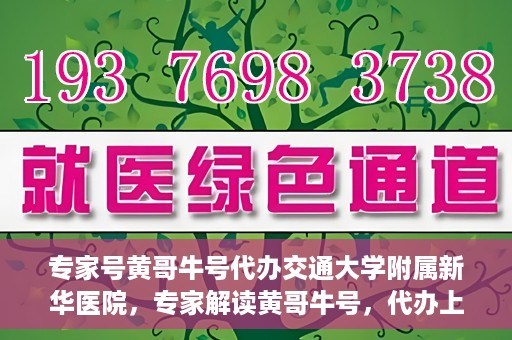 专家号黄哥牛号代办交通大学附属新华医院，专家解读黄哥牛号，代办上海交通大学附属新华医院攻略揭秘
