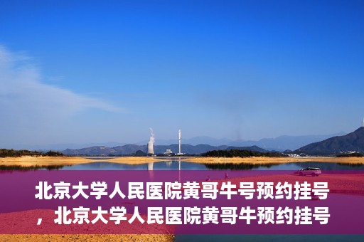 北京大学人民医院黄哥牛号预约挂号，北京大学人民医院黄哥牛预约挂号攻略，轻松预约，便捷就医