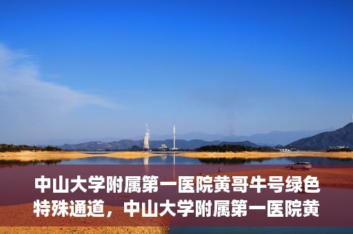 中山大学附属第一医院黄哥牛号绿色特殊通道，中山大学附属第一医院黄哥牛号，绿色特殊通道开启健康之门