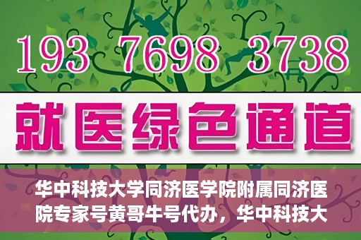 华中科技大学同济医学院附属同济医院专家号黄哥牛号代办，华中科技大学同济医院专家号黄哥牛号预约代办服务解析