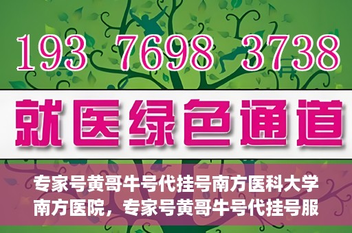 专家号黄哥牛号代挂号南方医科大学南方医院，专家号黄哥牛号代挂号服务在南方医科大学南方医院上线