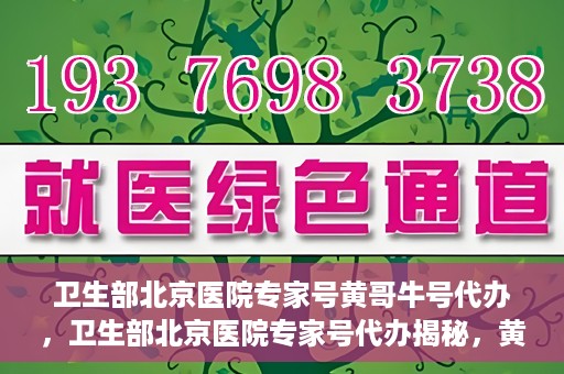 卫生部北京医院专家号黄哥牛号代办，卫生部北京医院专家号代办揭秘，黄哥牛号助您轻松预约专家资源