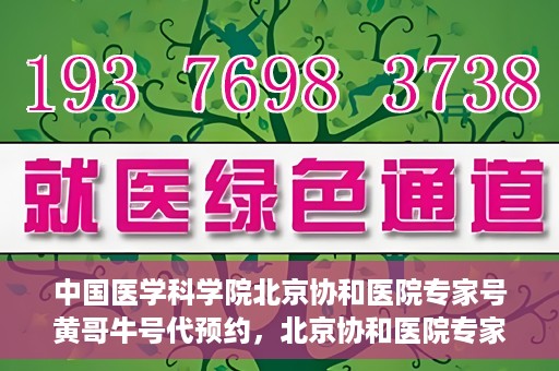 中国医学科学院北京协和医院专家号黄哥牛号代预约，北京协和医院专家黄哥牛号预约攻略，专业解读与预约指导