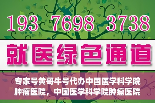 专家号黄哥牛号代办中国医学科学院肿瘤医院，中国医学科学院肿瘤医院专家号代办服务揭秘，黄哥牛号助力就医无忧