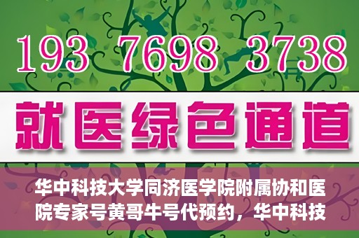 华中科技大学同济医学院附属协和医院专家号黄哥牛号代预约，华中科技大学同济医学院附属协和医院专家号预约服务解析——黄哥牛号预约攻略