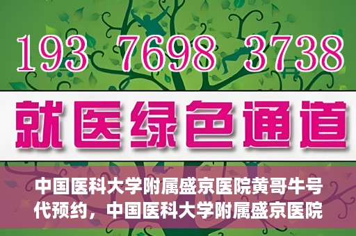 中国医科大学附属盛京医院黄哥牛号代预约，中国医科大学附属盛京医院黄哥牛号预约服务解析