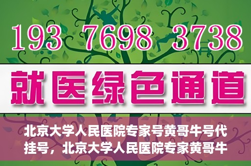 北京大学人民医院专家号黄哥牛号代挂号，北京大学人民医院专家黄哥牛号代挂号解析，权威医疗资源的深度解读