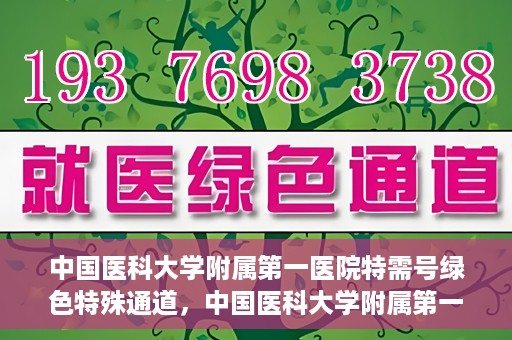中国医科大学附属第一医院特需号绿色特殊通道，中国医科大学附属第一医院特需号绿色就医通道，打造优质医疗体验新标杆