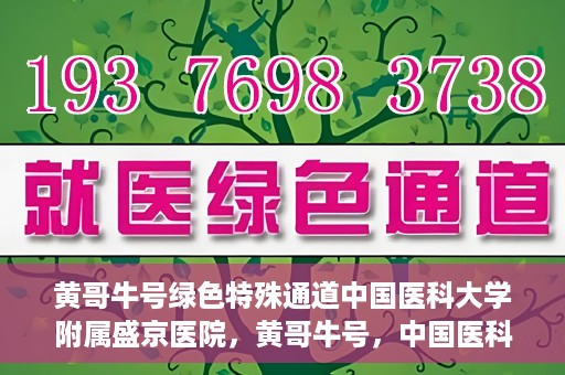 黄哥牛号绿色特殊通道中国医科大学附属盛京医院，黄哥牛号，中国医科大学附属盛京医院开启绿色特殊通道助力医疗进步