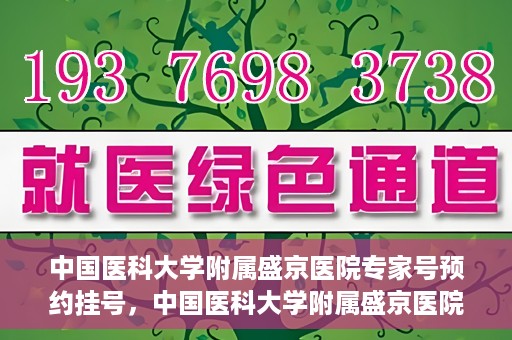 中国医科大学附属盛京医院专家号预约挂号，中国医科大学附属盛京医院专家号预约挂号攻略解析