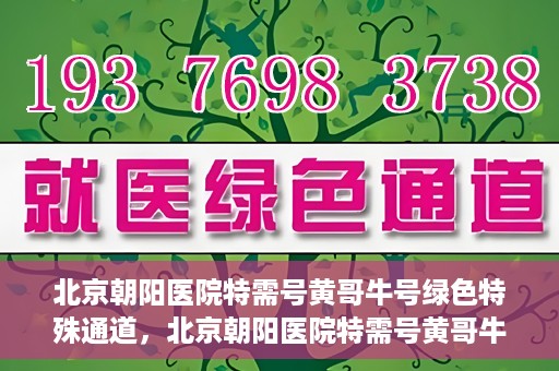北京朝阳医院特需号黄哥牛号绿色特殊通道，北京朝阳医院特需号黄哥牛号，绿色特殊通道揭秘