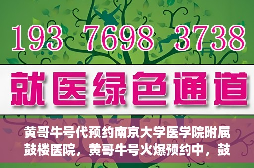 黄哥牛号代预约南京大学医学院附属鼓楼医院，黄哥牛号火爆预约中，鼓楼医院携手南京大学医学院开启健康新篇章