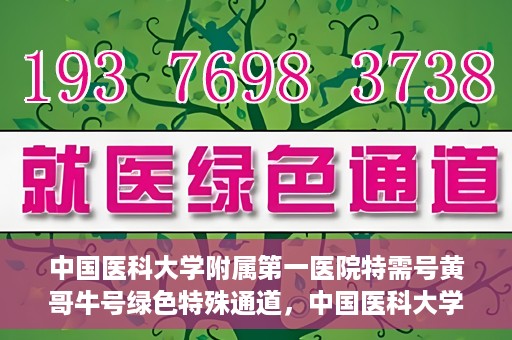中国医科大学附属第一医院特需号黄哥牛号绿色特殊通道，中国医科大学附属第一医院特需号黄哥牛号，绿色特殊通道揭秘