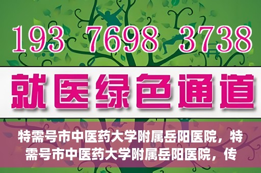 特需号市中医药大学附属岳阳医院，特需号市中医药大学附属岳阳医院，传统医学与现代医疗的交融之地