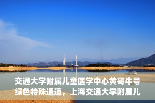 交通大学附属儿童医学中心黄哥牛号绿色特殊通道，上海交通大学附属儿童医学中心黄哥牛号，绿色特殊通道的守护者们