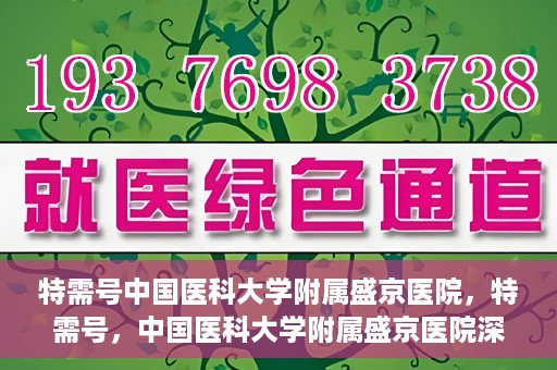 特需号中国医科大学附属盛京医院，特需号，中国医科大学附属盛京医院深度医疗解析