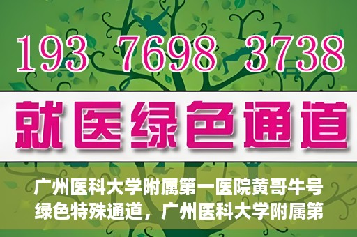 广州医科大学附属第一医院黄哥牛号绿色特殊通道，广州医科大学附属第一医院黄哥牛号，绿色特殊通道开启健康之门