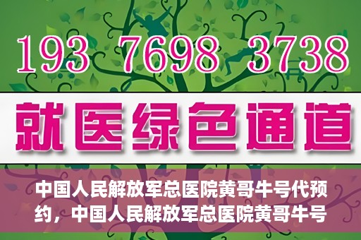 中国人民解放军总医院黄哥牛号代预约，中国人民解放军总医院黄哥牛号预约服务解析