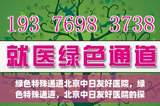 绿色特殊通道北京中日友好医院，绿色特殊通道，北京中日友好医院的探索与实践