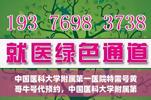 中国医科大学附属第一医院特需号黄哥牛号代预约，中国医科大学附属第一医院特需号名医预约服务解析——黄哥牛号预约服务详解