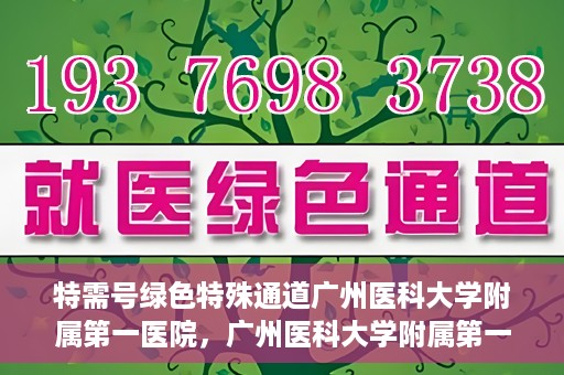 特需号绿色特殊通道广州医科大学附属第一医院，广州医科大学附属第一医院特需号绿色特殊通道，打造高品质医疗服务体验