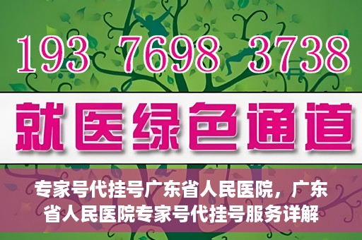 专家号代挂号广东省人民医院，广东省人民医院专家号代挂号服务详解