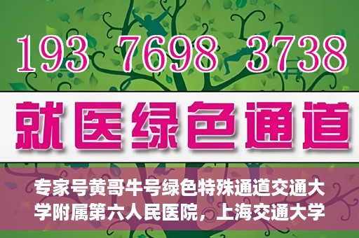 专家号黄哥牛号绿色特殊通道交通大学附属第六人民医院，上海交通大学附属第六人民医院专家号黄哥牛号开启绿色特殊通道，助力健康医疗事业前行。