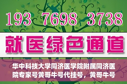 华中科技大学同济医学院附属同济医院专家号黄哥牛号代挂号，黄哥牛号代挂号，华中科技大学同济医院专家号解读与预约攻略