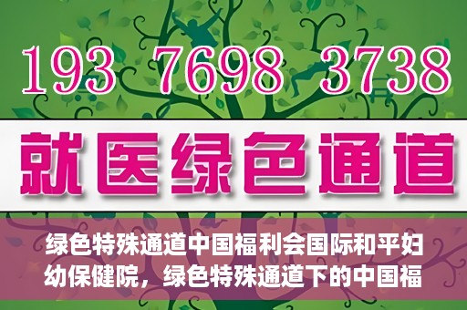绿色特殊通道中国福利会国际和平妇幼保健院，绿色特殊通道下的中国福利会国际和平妇幼保健院，守护母婴健康的温馨港湾