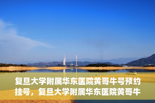 复旦大学附属华东医院黄哥牛号预约挂号，复旦大学附属华东医院黄哥牛号预约挂号攻略解析