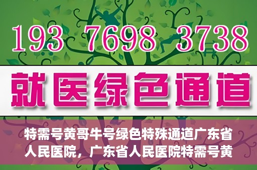 特需号黄哥牛号绿色特殊通道广东省人民医院，广东省人民医院特需号黄哥牛号绿色特殊通道揭秘
