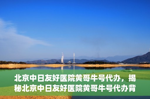 北京中日友好医院黄哥牛号代办，揭秘北京中日友好医院黄哥牛号代办背后的故事