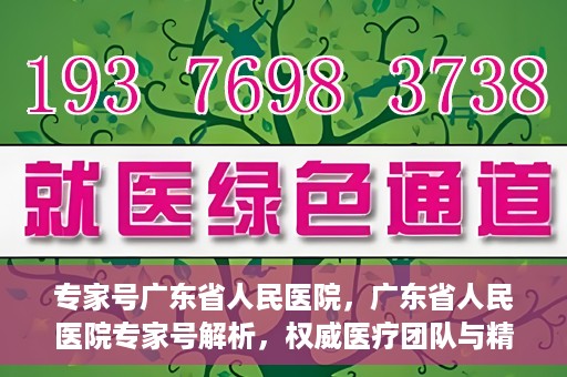 专家号广东省人民医院，广东省人民医院专家号解析，权威医疗团队与精准诊疗服务