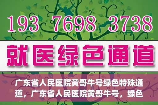 广东省人民医院黄哥牛号绿色特殊通道，广东省人民医院黄哥牛号，绿色特殊通道开启健康之门