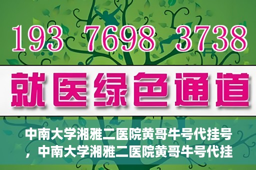 中南大学湘雅二医院黄哥牛号代挂号，中南大学湘雅二医院黄哥牛号代挂号，便捷就医背后的故事