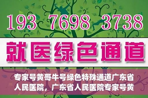 专家号黄哥牛号绿色特殊通道广东省人民医院，广东省人民医院专家号黄哥牛号开启绿色特殊通道，助力健康广东建设。