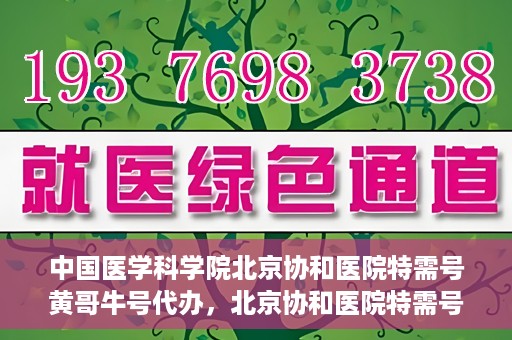 中国医学科学院北京协和医院特需号黄哥牛号代办，北京协和医院特需号黄哥牛号代办服务解析