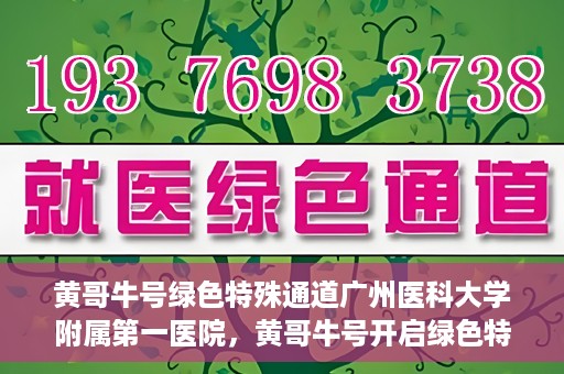 黄哥牛号绿色特殊通道广州医科大学附属第一医院，黄哥牛号开启绿色特殊通道，广州医科大学附属第一医院创新医疗体验