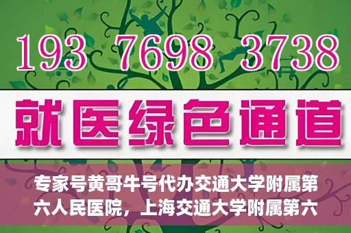 专家号黄哥牛号代办交通大学附属第六人民医院，上海交通大学附属第六人民医院专家号代办服务揭秘，黄哥牛号引领就医新风尚