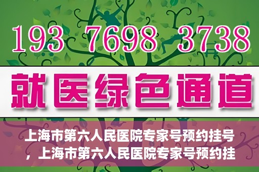 上海市第六人民医院专家号预约挂号，上海市第六人民医院专家号预约挂号攻略解析