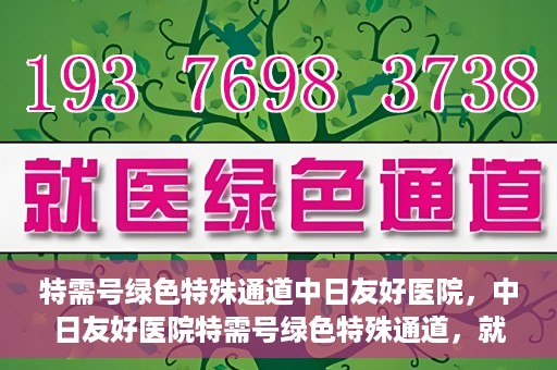 特需号绿色特殊通道中日友好医院，中日友好医院特需号绿色特殊通道，就医新体验
