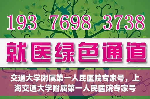 交通大学附属第一人民医院专家号，上海交通大学附属第一人民医院专家号解析，名医汇聚，专业领航