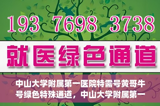 中山大学附属第一医院特需号黄哥牛号绿色特殊通道，中山大学附属第一医院特需号黄哥牛号，绿色就医通道揭秘