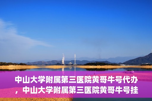 中山大学附属第三医院黄哥牛号代办，中山大学附属第三医院黄哥牛号挂号代办攻略