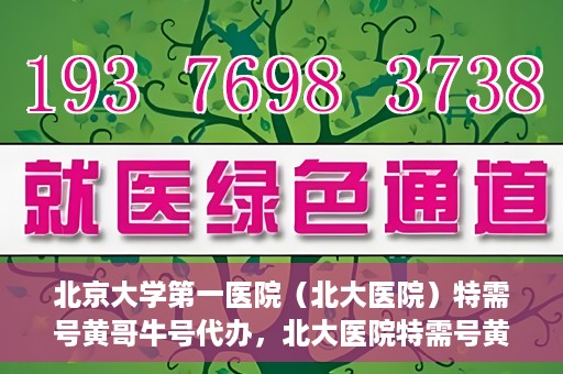 北京大学第一医院（北大医院）特需号黄哥牛号代办，北大医院特需号黄哥牛号代办，深度解析与揭秘