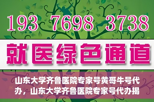 山东大学齐鲁医院专家号黄哥牛号代办，山东大学齐鲁医院专家号代办揭秘，黄哥牛号助您轻松预约专家号