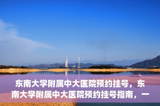 东南大学附属中大医院预约挂号，东南大学附属中大医院预约挂号指南，一站式解决您的挂号需求